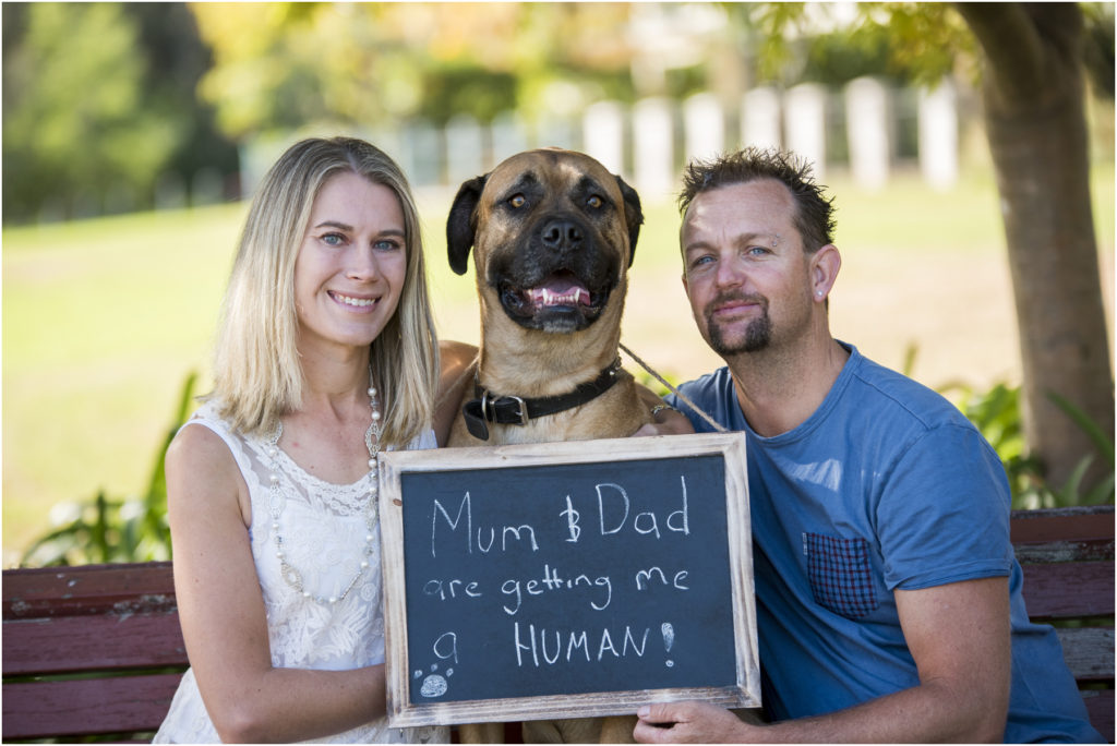 Baby Bump Photography, Camden maternity Photography, Camden Newborn Photography, Angie Duncan Photography, www.angieduncan.com.au